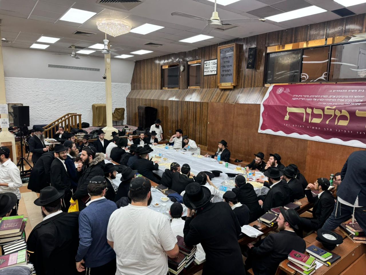 הגלריה השבועית מבית משיח: פרשת בא